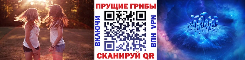 Псилоцибиновые грибы Magic Shrooms  Гусиноозёрск 